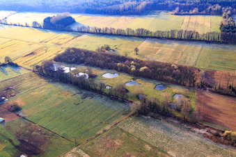 Biotope at Otterbach in winter in Minfeld in the state Rhineland-Palatinate, Germany