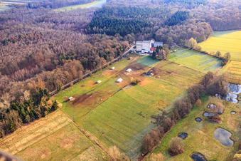 Mobeler chicken coop of the organic chicken farm of Hofladen Stoltz at the Hardtmühle in Kandel in the state Rhineland-Palatinate, Germany viewn from the air