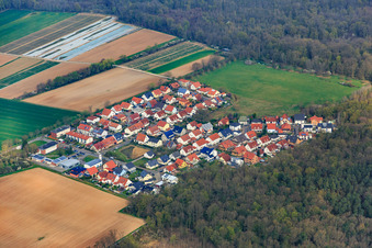 Vorderlohe district on the edge of the forest in Schwegenheim in the state Rhineland-Palatinate, Germany