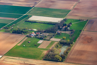 Riding stable Spieß and MRC-Harthausen in Harthausen in the state Rhineland-Palatinate, Germany