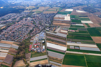 Overview of the town in winter from the west in Dudenhofen in the state Rhineland-Palatinate, Germany