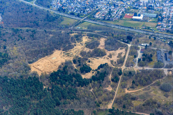 Aerial view of Sand dunes in the forest on the Natostr in Dudenhofen in the state Rhineland-Palatinate, Germany