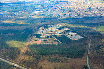 Industrial estate in the forest with A + P Logistic GmbH and youth detention center Schifferstadt in Schifferstadt in the state Rhineland-Palatinate, Germany