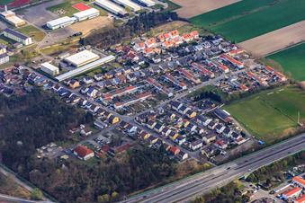 Ivy Path in the district Rinkenbergerhof in Speyer in the state Rhineland-Palatinate, Germany