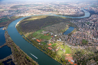 Forest Park and Rice Island in the district Niederfeld in Mannheim in the state Baden-Wuerttemberg, Germany