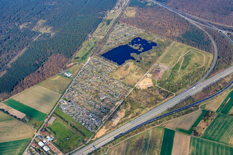 Allotment garden of the allotment association Viernheim on Lampertheimer Weg in Viernheim in the state Hesse, Germany