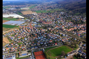 Meadow Promenade W in Zwingenberg in the state Hesse, Germany