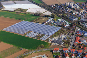 Plastic houses on Platanenallee in Zwingenberg in the state Hesse, Germany