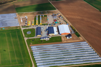 Asparagus & Fruit Farm Wendel in Zwingenberg in the state Hesse, Germany
