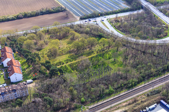 Jewish Cemetery in the district Sandwiese in Alsbach-Hähnlein in the state Hesse, Germany