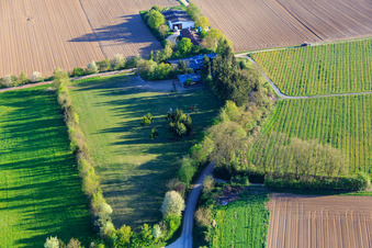 Aerial photograpy of Paddock of Trakehner-Friedrich in Minfeld in the state Rhineland-Palatinate, Germany