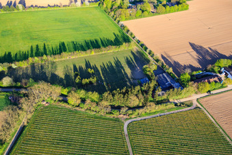 Paddock of Trakehner-Friedrich in Minfeld in the state Rhineland-Palatinate, Germany seen from above