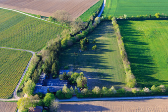 Bird's eye view of Paddock of Trakehner-Friedrich in Minfeld in the state Rhineland-Palatinate, Germany