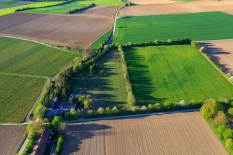 Paddock of Trakehner-Friedrich in Minfeld in the state Rhineland-Palatinate, Germany viewn from the air