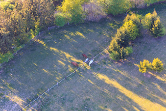 Paddock of Trakehner-Friedrich in Minfeld in the state Rhineland-Palatinate, Germany from the drone perspective