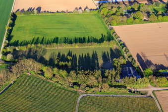 Aerial view of Paddock of Trakehner-Friedrich in Minfeld in the state Rhineland-Palatinate, Germany