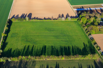 Aerial photograpy of Paddock of Trakehner-Friedrich in Minfeld in the state Rhineland-Palatinate, Germany