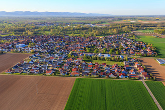 Maple Trail, Birch Trail from the south in Steinweiler in the state Rhineland-Palatinate, Germany