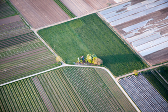 UL in Meckenheim in the state Rhineland-Palatinate, Germany