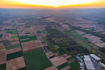 Höfen district from the east in the district Minderslachen in Kandel in the state Rhineland-Palatinate, Germany