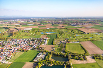 District Nordheim in Biblis in the state Hesse, Germany