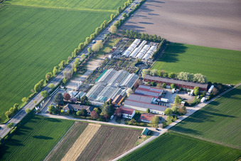 Tils Nursery in the district Rheindürkheim in Worms in the state Rhineland-Palatinate, Germany