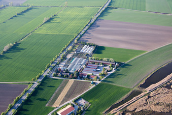 Aerial view of Tils Nursery in the district Rheindürkheim in Worms in the state Rhineland-Palatinate, Germany