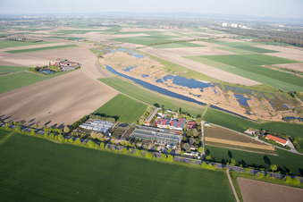 Aerial photograpy of Tils Nursery in the district Rheindürkheim in Worms in the state Rhineland-Palatinate, Germany