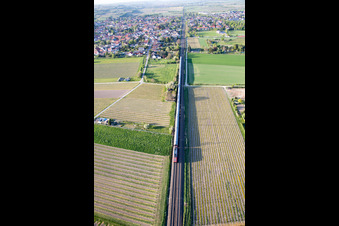 Local railway train in Alsheim in the state Rhineland-Palatinate
