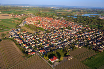 Village view from the northwest in Gimbsheim in the state Rhineland-Palatinate, Germany