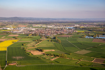 Town view in Biebesheim am Rhein in the state Hesse, Germany