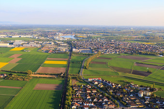 City view from the north in Biebesheim am Rhein in the state Hesse, Germany