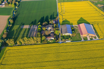 Aerial view of Ulmenhof in Stockstadt am Rhein in the state Hesse, Germany