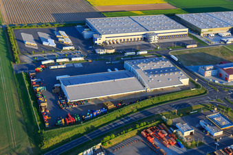 Marie-Curie-Straße industrial estate with DSV, LOGI-K GmbH and FRISTO SE branch Gernsheim in Gernsheim in the state Hesse, Germany