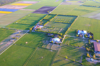 Aerial view of Karlshof Stud and Marienhof Stud in Gernsheim in the state Hesse, Germany