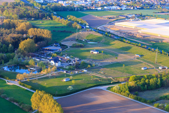 Wolf Stud on the A5 in Bickenbach in the state Hesse, Germany