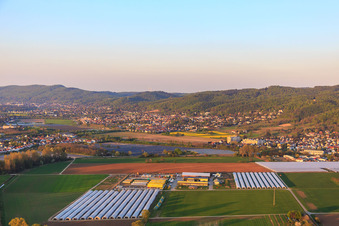 Aerial view of Asparagus & Fruit Farm Wendel in Zwingenberg in the state Hesse, Germany