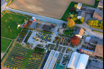 Aerial view of Lindenhof Flowers in the district Auerbach in Bensheim in the state Hesse, Germany