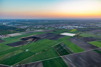 From the northeast in Bürstadt in the state Hesse, Germany