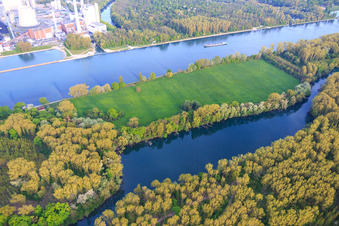 Aerial view of Goldgrund Island Nature Reserve Nauaus between the Rhine and Hagenbacher Altrhein in the district Maximiliansau in Wörth am Rhein in the state Rhineland-Palatinate, Germany