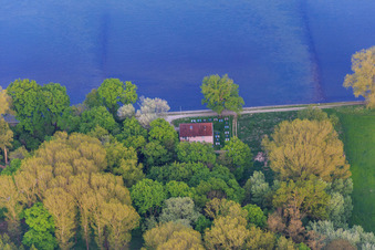Goldgrund on the banks of the Rhine in the district Maximiliansau in Wörth am Rhein in the state Rhineland-Palatinate, Germany