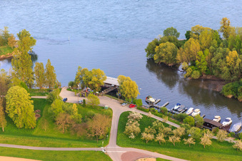 Aerial view of Neuburg marina at the mouth of the Lauter in Neuburg am Rhein in the state Rhineland-Palatinate, Germany