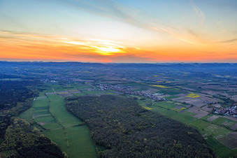 Viestrich on the edge of the Bienwald from the east in Freckenfeld in the state Rhineland-Palatinate, Germany