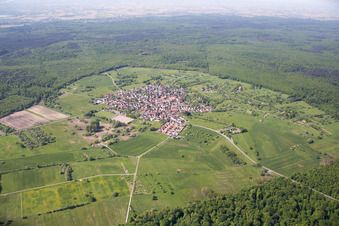 Aerial view of District Büchelberg in Wörth am Rhein in the state Rhineland-Palatinate, Germany