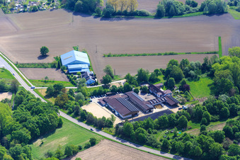 Horse boarding in Hagenbach in the state Rhineland-Palatinate, Germany