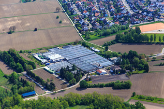 Aerial view of Geraniums Endisch in Hagenbach in the state Rhineland-Palatinate, Germany