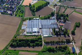 Aerial photograpy of Geraniums Endisch in Hagenbach in the state Rhineland-Palatinate, Germany