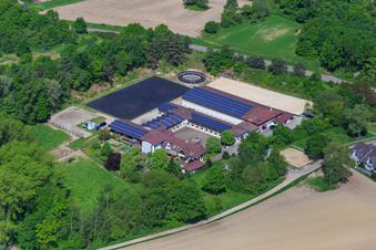 Horse boarding in Hagenbach in the state Rhineland-Palatinate, Germany out of the air