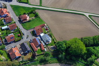 Ahornstr in Hagenbach in the state Rhineland-Palatinate, Germany