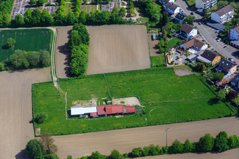 Horse paddock in Hagenbach in the state Rhineland-Palatinate, Germany